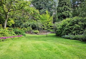 Optimiser l'expérience du jardin à Saint-Aubin-des-Chateaux