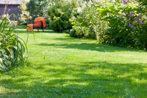 travaux jardin et paysage Saint-Aubin-des-Chateaux